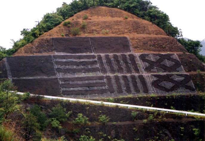 エコストライプ工法の詳細