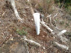 ウッドガード ハーフタイプの詳細