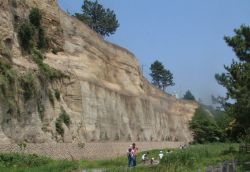 斜面いろどり工法の詳細