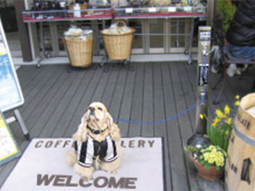 メドーマルク わんこポールの詳細