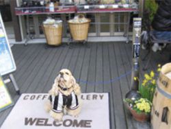 メドーマルク わんこポール