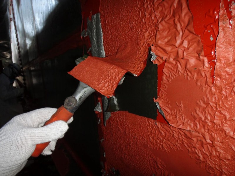 バイオハクリX-WBの詳細