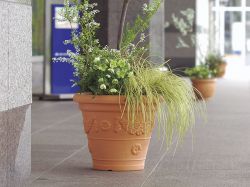 アンティコの詳細