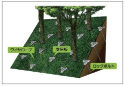 ノンフレーム工法