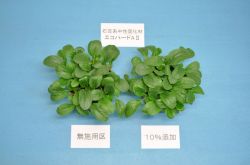 エコハードAIIの詳細