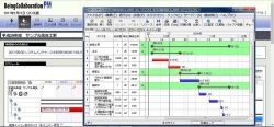 BeingCollaboration PMの詳細