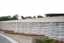 モールドスターの詳細