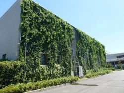 のぼるtoみどりパネル(登はん型)の詳細