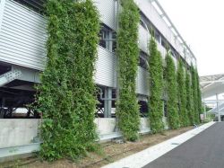 のぼるtoみどりワイヤー(登はん型)の詳細
