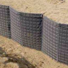 マックスウォールの詳細