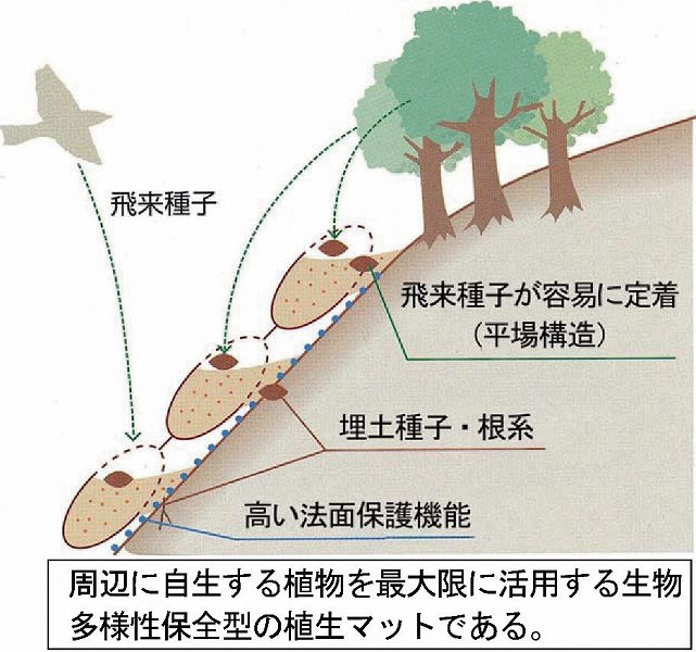 イースターマットの詳細