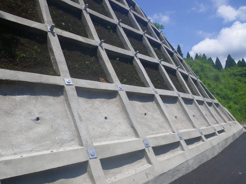 ベルキャップFの詳細