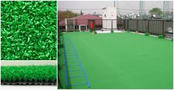 セーフティターフ SN-10の詳細