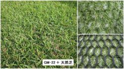 セーフティターフ GM-22の詳細