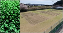 セーフティサンドSWT-20の詳細