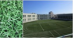 セーフティターフJP-65の詳細