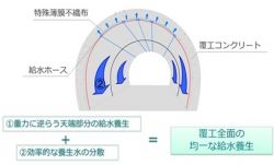 キュアマイスターの詳細