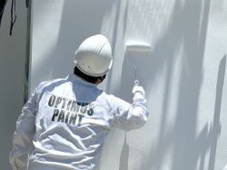 オプティマスホワイトペイントの詳細