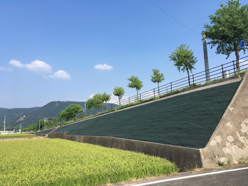 チガヤシートの詳細