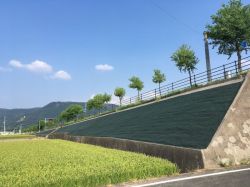 チガヤシート