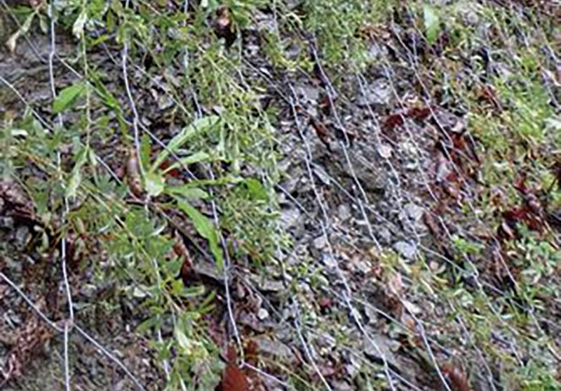 デルタックス工法