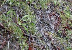 デルタックス工法