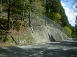 TFバリアの詳細