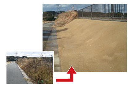 かまださんのコロンブスのたまご