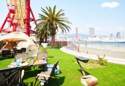 メモリーターフ