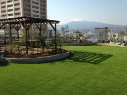 メモリーターフ AIR