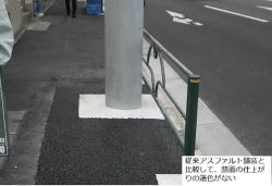 ゴールドパッチの詳細