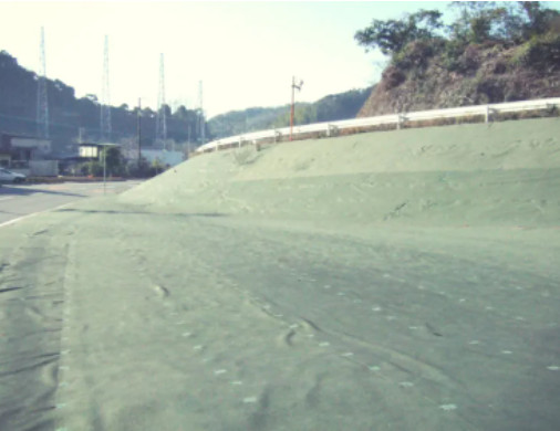 植樹ニューマットH(ハード)タイプの詳細