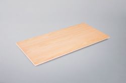 カネライトパネルVの詳細