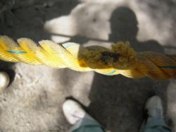 スーパーセーブロープの詳細