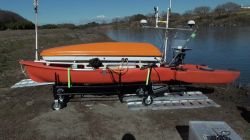 みずすましの詳細