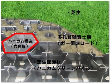 ハニカムグリーンの詳細