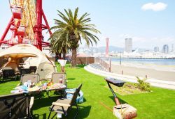 人工芝 メモリーターフ