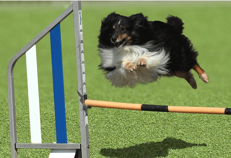 メモリーターフ AG20の詳細