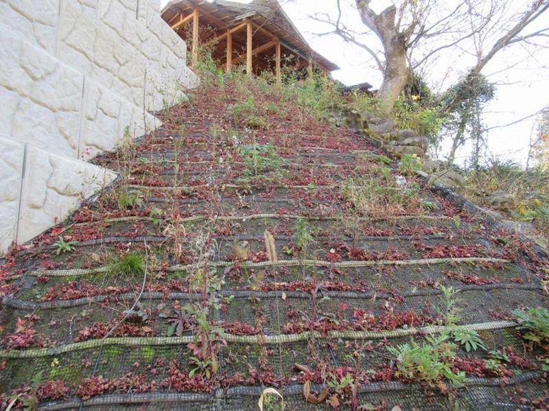 キョウジンガーST60の詳細