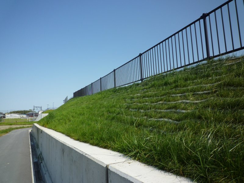 リトマスマット ブルーの詳細