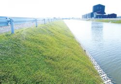 クラピア緑化工法の詳細