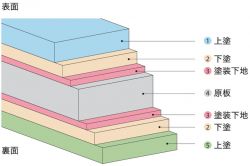 ニスクカラーPro