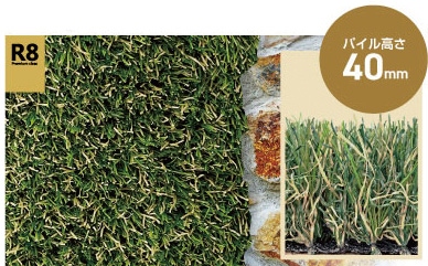 リアリーターフ ゴールドの詳細