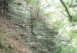 フリーネット(FN工法)