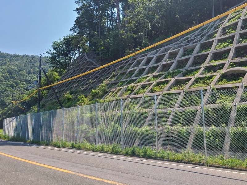 ライトバリアの詳細