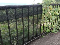 バリオスネットの詳細