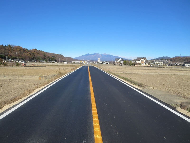 シンカーペット-neo