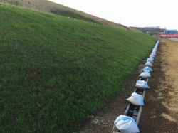 ドクターペーハー液剤の詳細