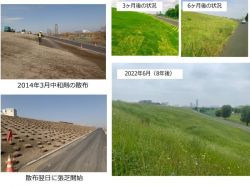 ドクターペーハー液剤の詳細