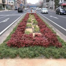はなこのみの詳細
